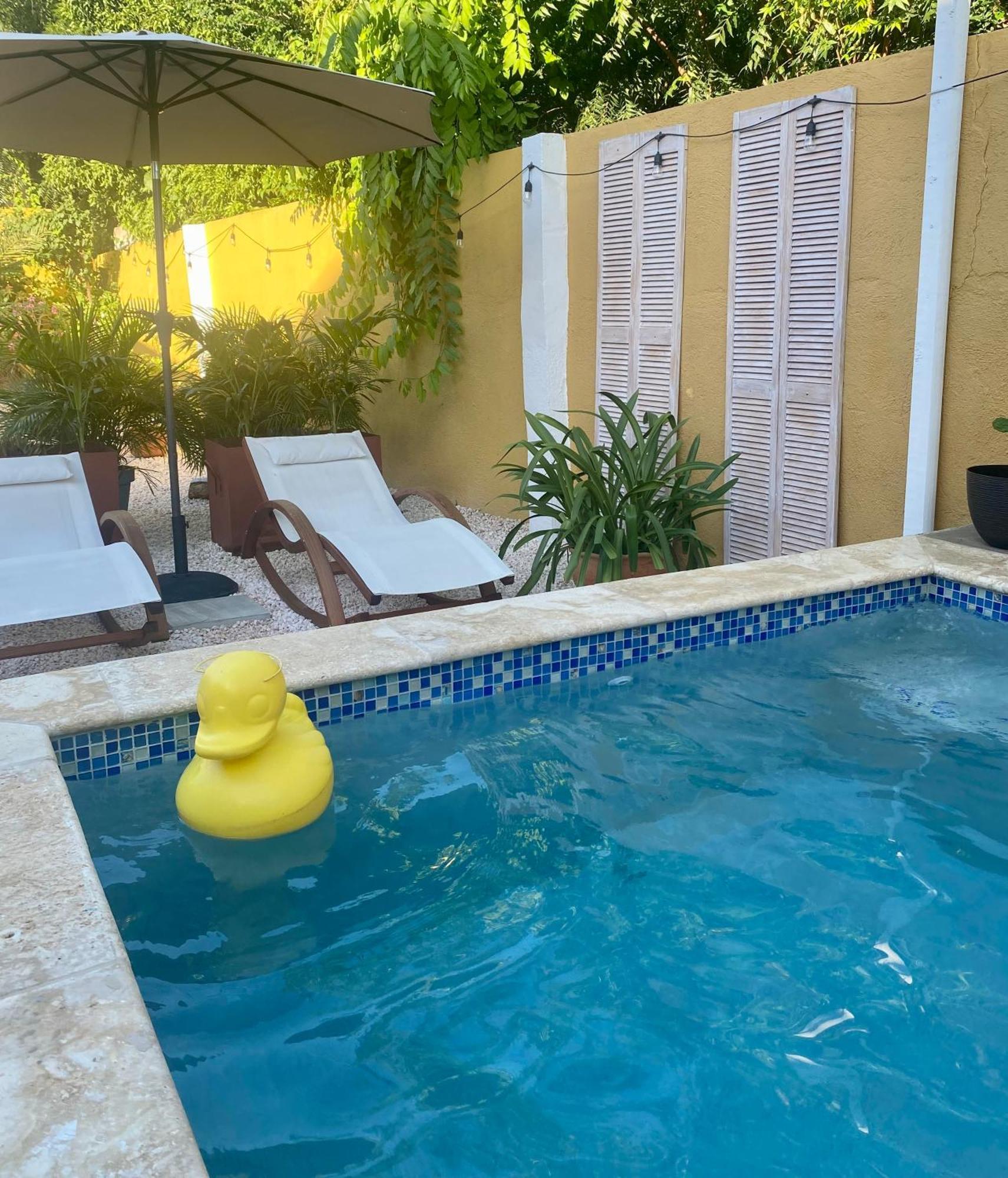 Historic Building The Palm Backyard Studio-Apartment Willemstad, Curacao Feel Home Away From Home Ngoại thất bức ảnh